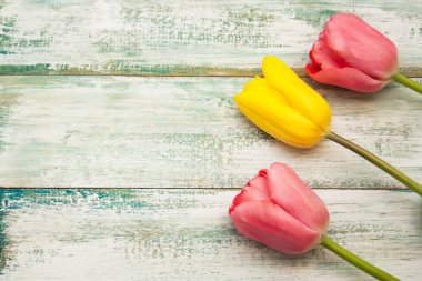 Lale bir vintage eski püskü açık renkli, üstten görünüm, boş boşaltmak.