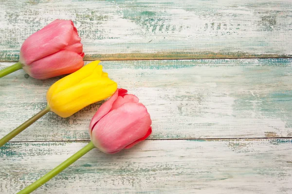 Lale bir vintage eski püskü açık renkli, üstten görünüm, boş boşaltmak.