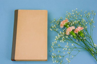Üstten Görünüm pastel mavi arka plan üzerinde boş çarşafları ve çiçeklerle vintage kitap