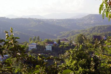 Yeşil ağaçların üzerinden Kafkasya dağlarının güzel manzara