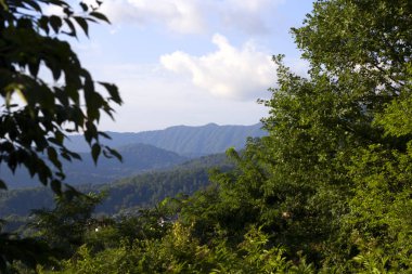 Yeşil ağaçların üzerinden Kafkasya dağlarının güzel manzara