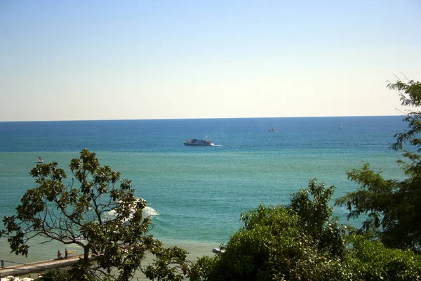 Vista Panorámica Sobre Mar Cielo Azul Con Palmeras Árboles Marco —  Fotos de Stock