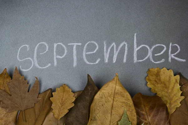 Gesso Lettering Autunno Mese Cornice Fatta Foglie Autunno Vista Dall — Foto Stock