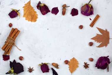 Üstten Görünüm çerçeve kurutulmuş yaprakları, gül, tarçın, fındık, kopya alanı