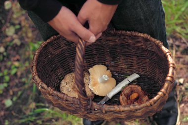 adamın elleri yakından tutun mantar sepeti