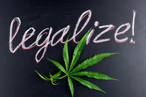 Vista Superior Hoja Marihuana Con Inscripción Legalizar Una Pizarra —  Fotos de Stock