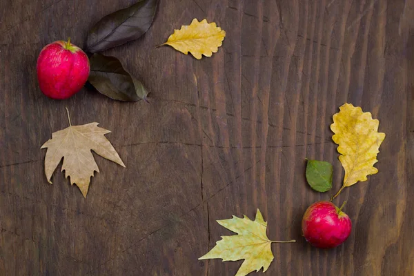 アップル社と乾燥した黄色葉木秋背景 — ストック写真