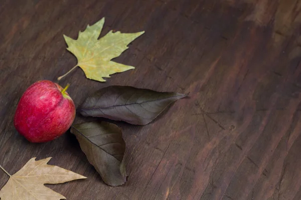 アップル社と乾燥した黄色葉木秋背景 — ストック写真