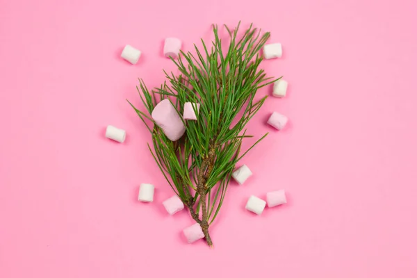 Ramo Abeto Visão Superior Fundo Rosa Pastel Cartão Férias Inverno — Fotografia de Stock