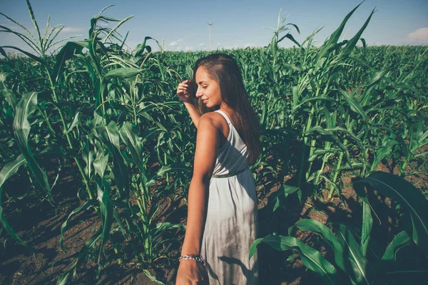 Hermosa Joven Bronceada Vestido Plata Piel Campo Maíz Retrato Sígueme —  Fotos de Stock