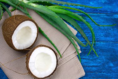 Üstten Görünüm Hindistan cevizi ve aloe vera yeşil yaprakları bir mavi ahşap masa, doğal kozmetik malzemeler