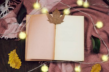 üstten görünüm açık vintage kitap, sonbahar yaprak, garland