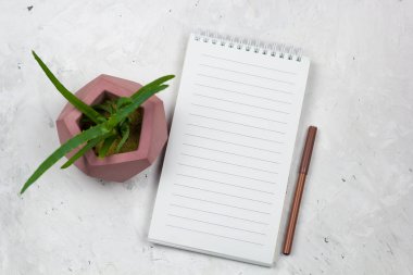 leziz bir beton pot ve boş levha alay etmek yukarıya ile açılan not defteri