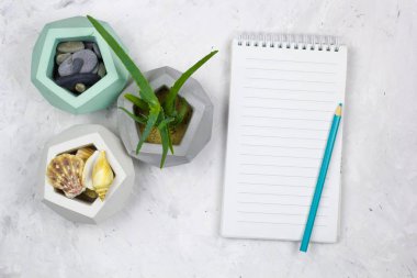 Üstten Görünüm defter boş levha, aloe vera ve deniz kabukları beton arka plan ile