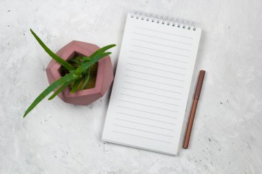 leziz bir beton pot ve boş levha alay etmek yukarıya ile açılan not defteri