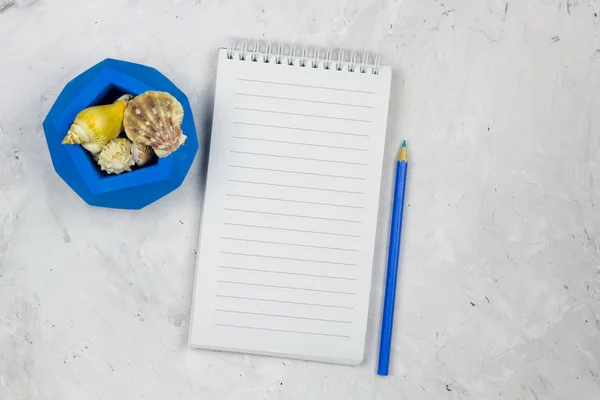 Ноутбук Пустой Листовой Морской Раковиной Бетонный Фон — стоковое фото