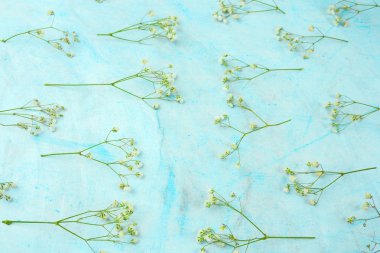 Gypsophila çiçek mavi arka plan görünüm desen top