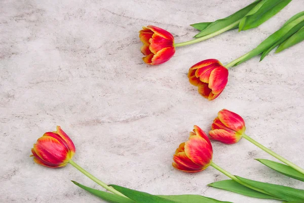 Krásné Červené Tulipány Pro Den Matek Mramorové Pozadí Pohled Shora — Stock fotografie