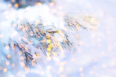 Noel ve yeni yıl arka plan Noel ağacı parlak sihirli bokeh boyalı kar ile kaplı bulanık