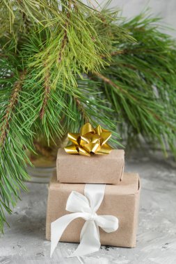 arka plan beton mevcut kutuları ve yaprak dökmeyen ağaç dalları