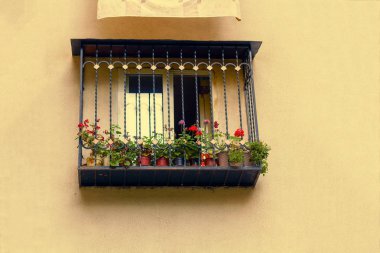 Sarı duvardaki çiçekli balkon