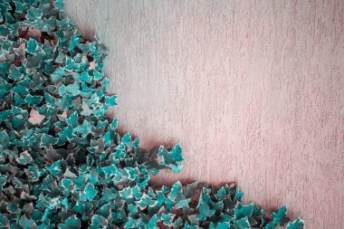 metin için boş alan ile yaz zemin ve sarmaşık duvar trendy tonda yaprakları