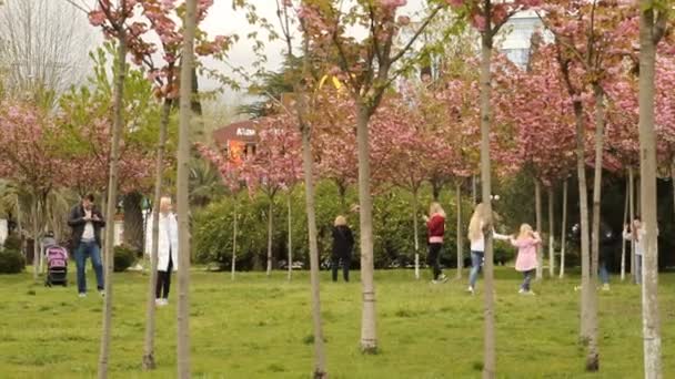 Soczi Rosja Kwiecień 2019 Turyści Robić Zdjęcia Parku Kwitnących Drzew — Wideo stockowe