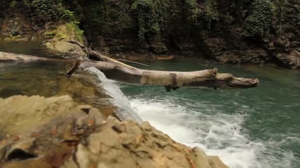 Vista Panorâmica Rio Montanha Corredeiras Com Cachoeiras Floresta — Vídeo de Stock