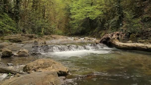 Vista Panorâmica Rio Montanha Corredeiras Com Cachoeiras Floresta — Vídeo de Stock