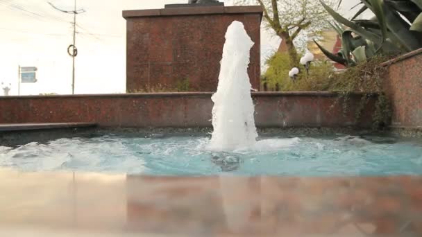 在公园里喷出喷泉 — 图库视频影像