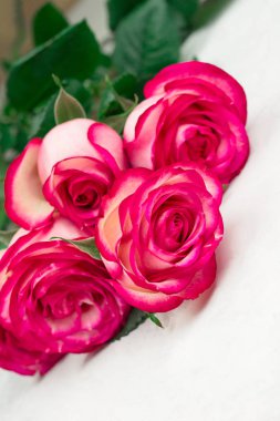 beyaz bir arka plan üzerinde buket üzerinde pembe gül ler kadar yakın