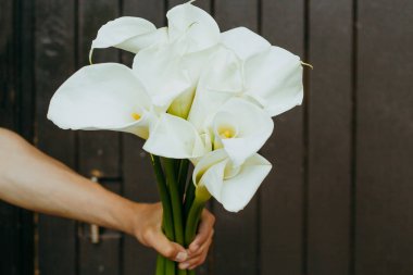 koyu ahşap arka planda calla lilyum çiçekler ile erkek el