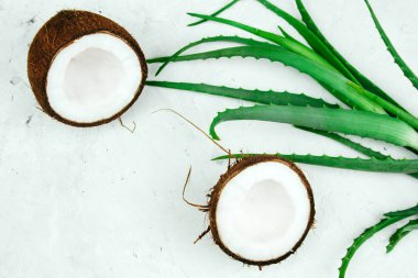 üst görünümü yaz tropikal kozmetik malzemeler düz yatıyordu hindistan cevizi ve aloe vera