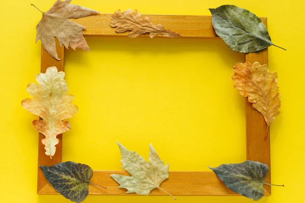 黄色の背景にテキストのための空きスペースを持つ秋の葉と黄金のフレームをモックアップ — ストック写真