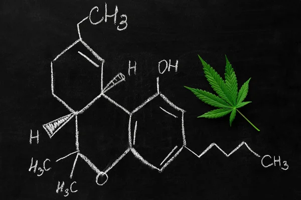 마리화나와 Thc 수식의 잎분필 보드의 상단보기 — 스톡 사진