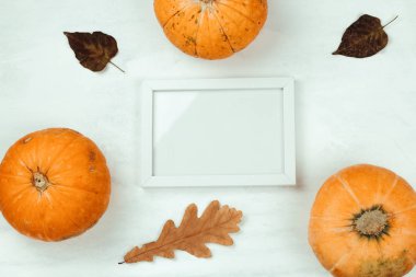 kabak üst görünümü, sonbahar yaprakları ve beyaz ahşap çerçeve kadar sahte
