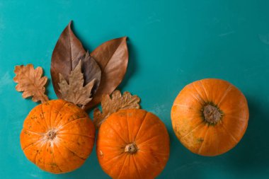 üst görünümü düz mavi bir arka plan üzerinde üç kabak yatıyordu