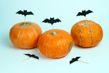 beyaz bir arka plan üzerinde kağıt kesilmiş yarasalar ile süslenmiş kabaklar