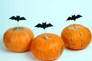 beyaz bir arka plan üzerinde kağıt kesilmiş yarasalar ile süslenmiş kabaklar