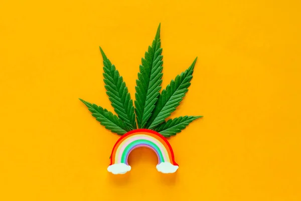 Top Weergave Plat Lag Marihuana Groen Blad Met Kleurrijke Regenboog — Stockfoto