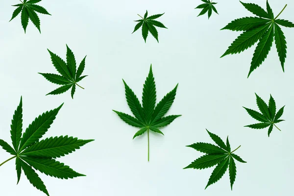 Cannabis Blätter Von Oben Auf Einem Papierhintergrund — Stockfoto