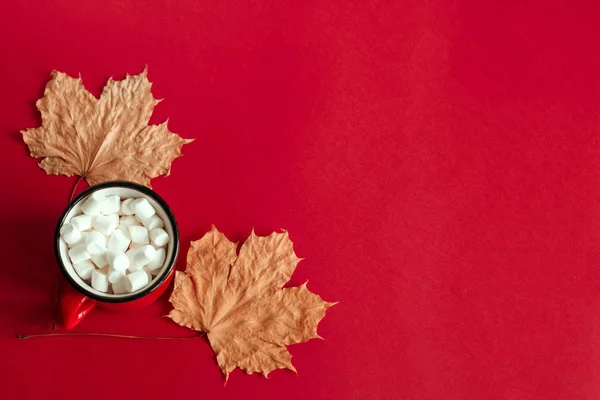 Vista Superior Outono Folhas Bordo Xícara Com Espaço Cópia Marshmallows — Fotografia de Stock