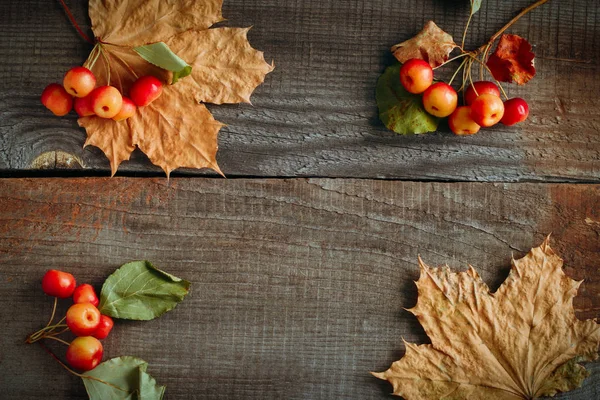 カエデの葉と小さなリンゴフレーム秋の背景を持つテキストのための空きスペースを持つ風化した木製の板 — ストック写真