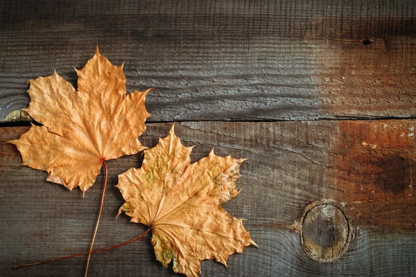 木製のボードの秋の背景にトップビューカエデの葉 — ストック写真