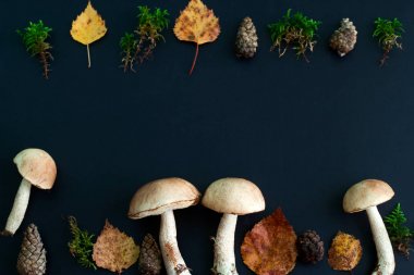 üst görünüm düz mantar yatıyordu, sonbahar yaprakları, çam kozalağı ve yosun sonbahar deseni metin için boş alan ile siyah bir arka plan üzerinde