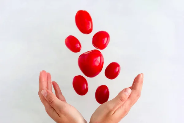 Tomates Rojos Maduros Frescos Levitan Sobre Las Manos Las Mujeres — Foto de Stock