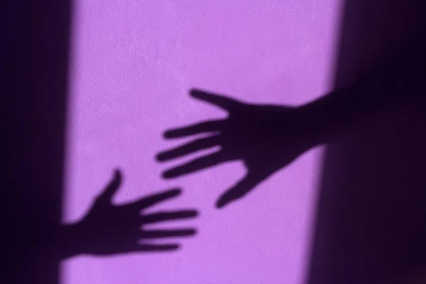 palmiye gölgeli mor eski püskü duvar