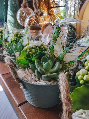 Küçük, sulu saksılar kapanıyor.