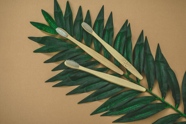 top view eco friendly wooden tooth brushes  and green tropical leaves layout on a brown background with copy space