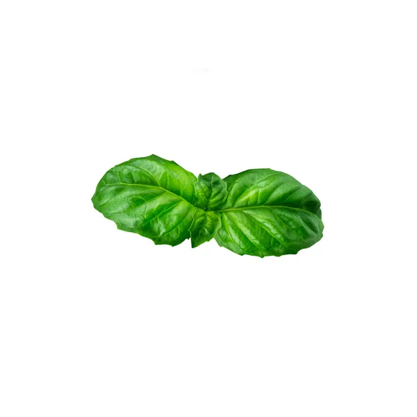 Leaf Fresh Juicy Basil Isolated White Background — Stock Photo, Image